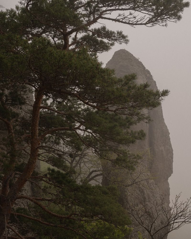 Photograph by Ангелина Якимова