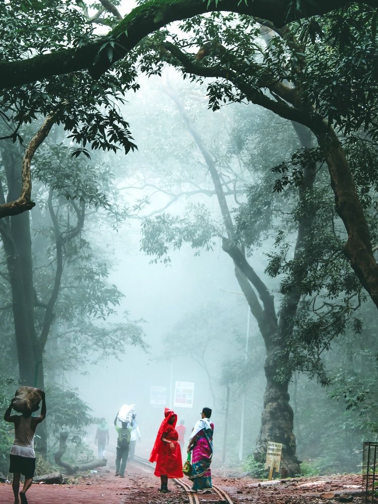 Photograph by Vishal D. Khomane
