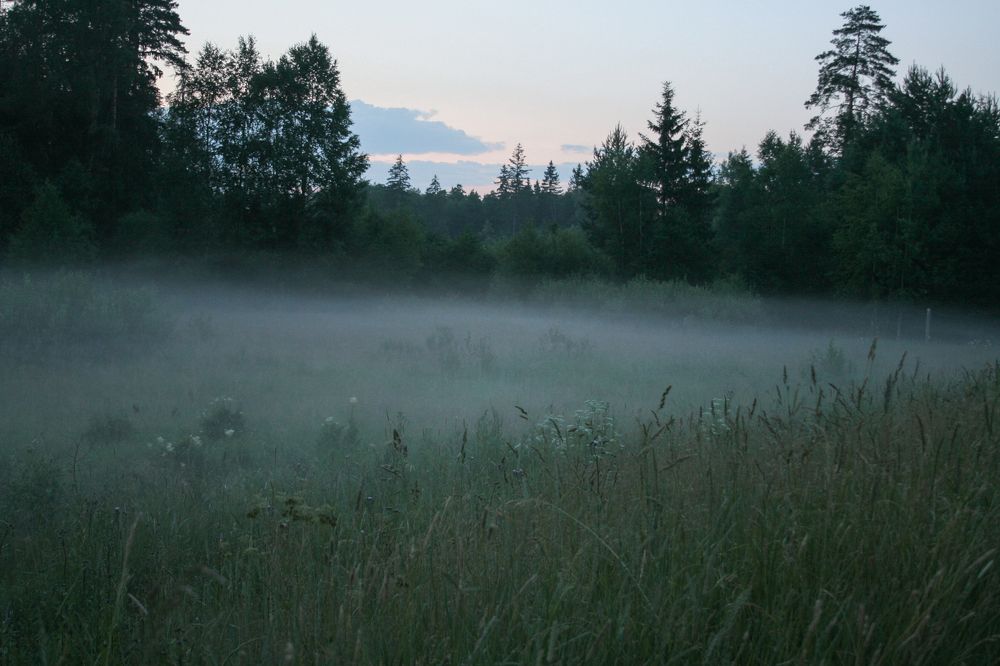 Photograph by Анна Гвоздовская