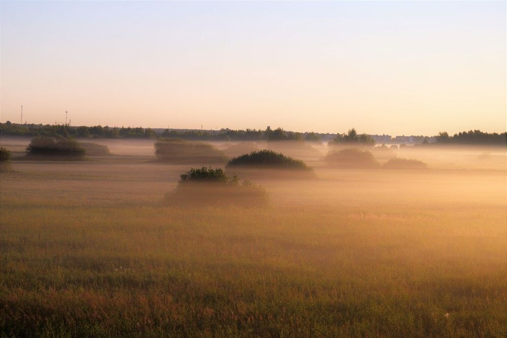 Photograph by александр лялин