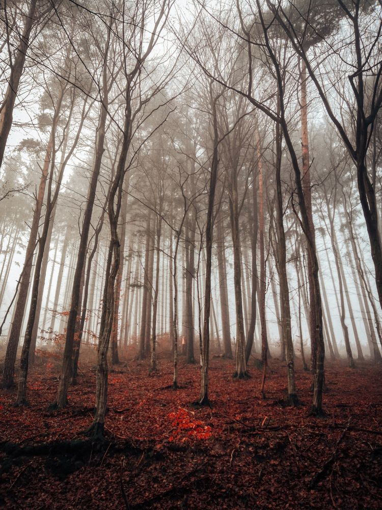 Photograph by Lenka Cervenkova