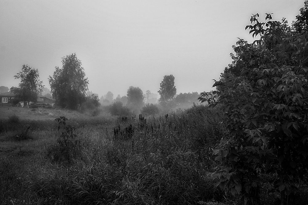 Photograph by Алексей Трифонов