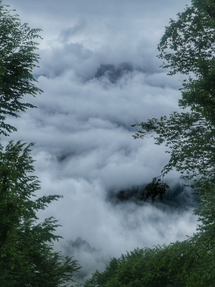 Photograph by Seyed-Sajad Hamedheydari