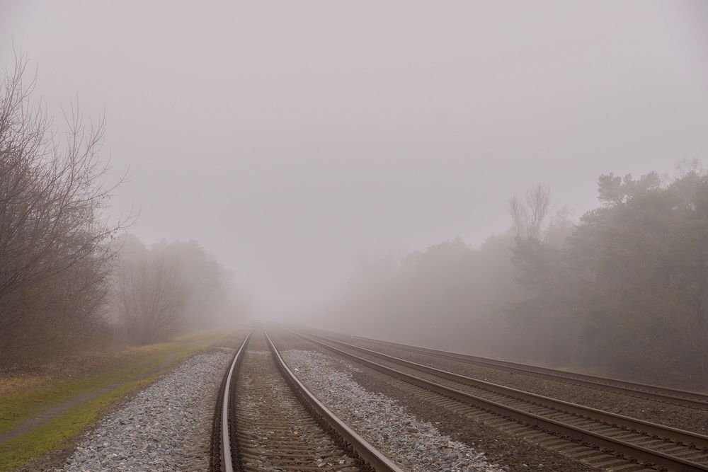 Photograph by Леонид Соболев