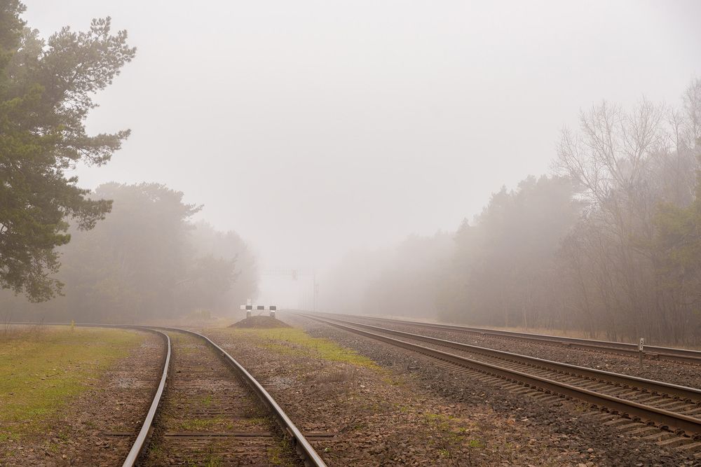 Photograph by Леонид Соболев