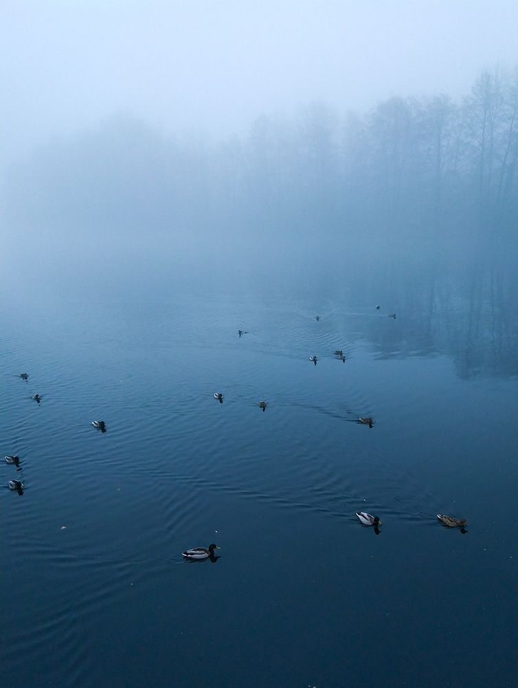 Photograph by Юлия Волгина