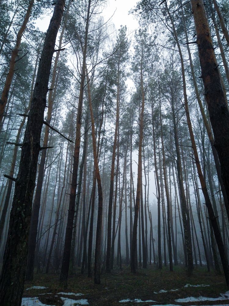 Photograph by Юлия Волгина
