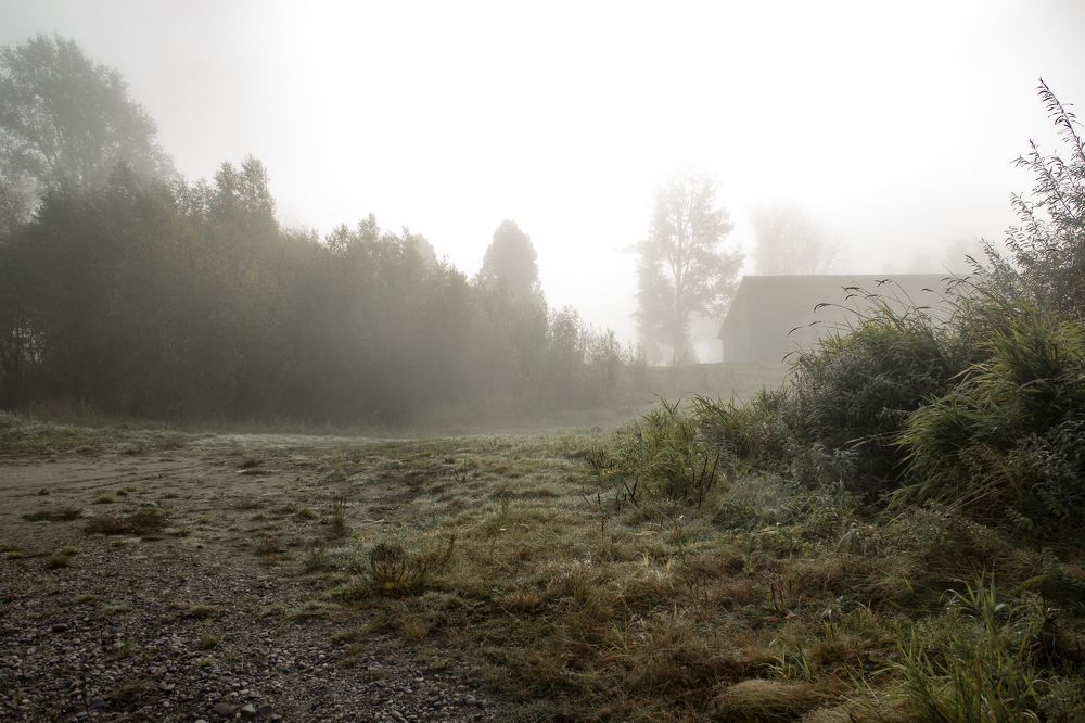 Photograph by Ирина Рыжова