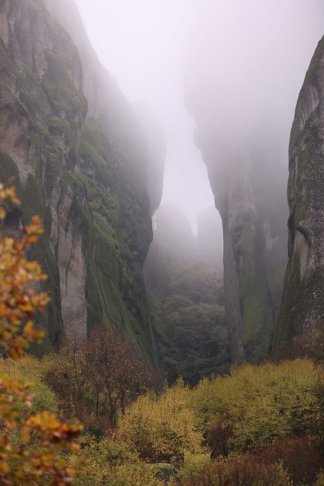 Photograph by Ольга Одаренко