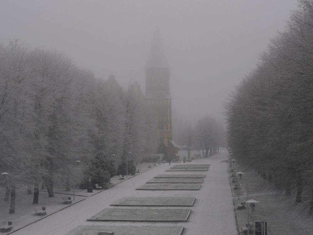 Photograph by Антон