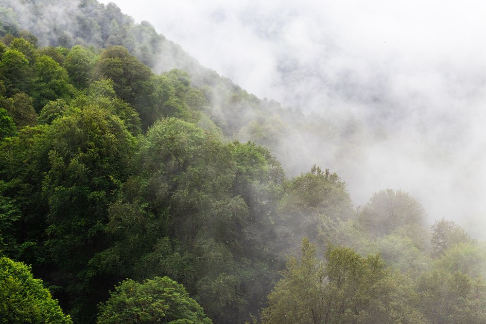 Photograph by Сергей Бадалов