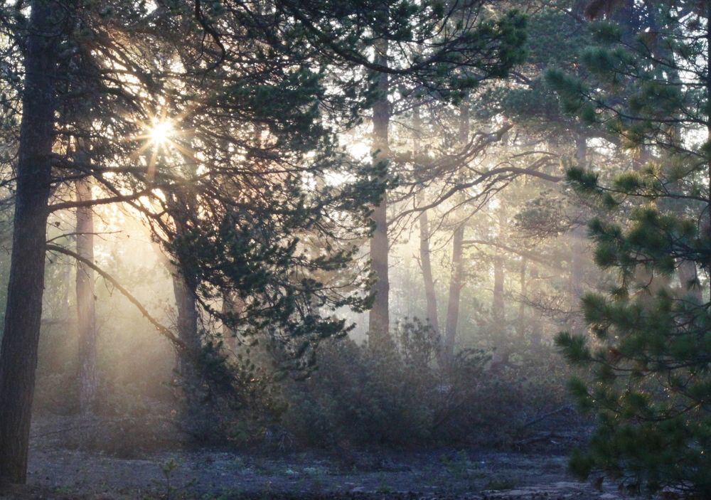 Photograph by Natalia