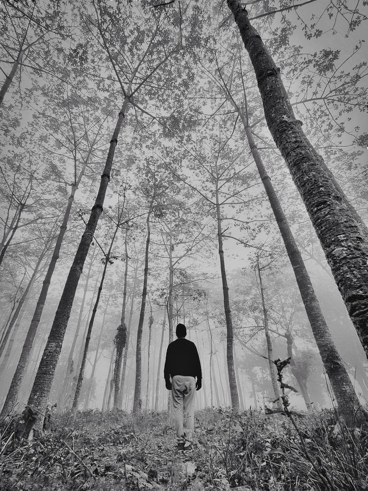 Photograph by Nishant Raj