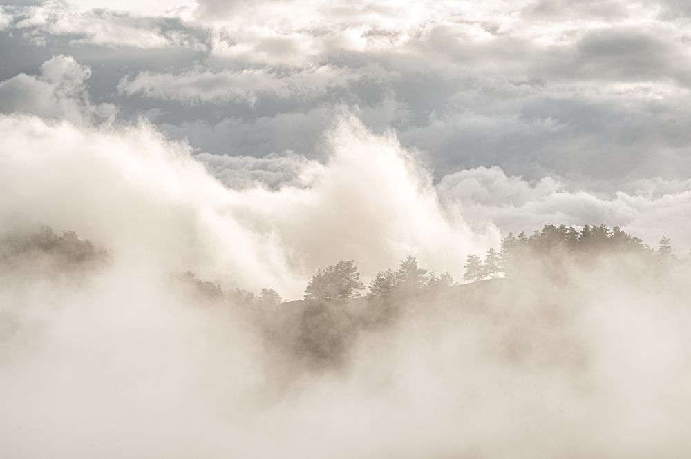 Photograph by Екатерина Рябкова