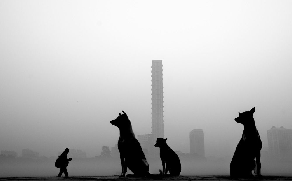 Фотография автора Ritwik Ray