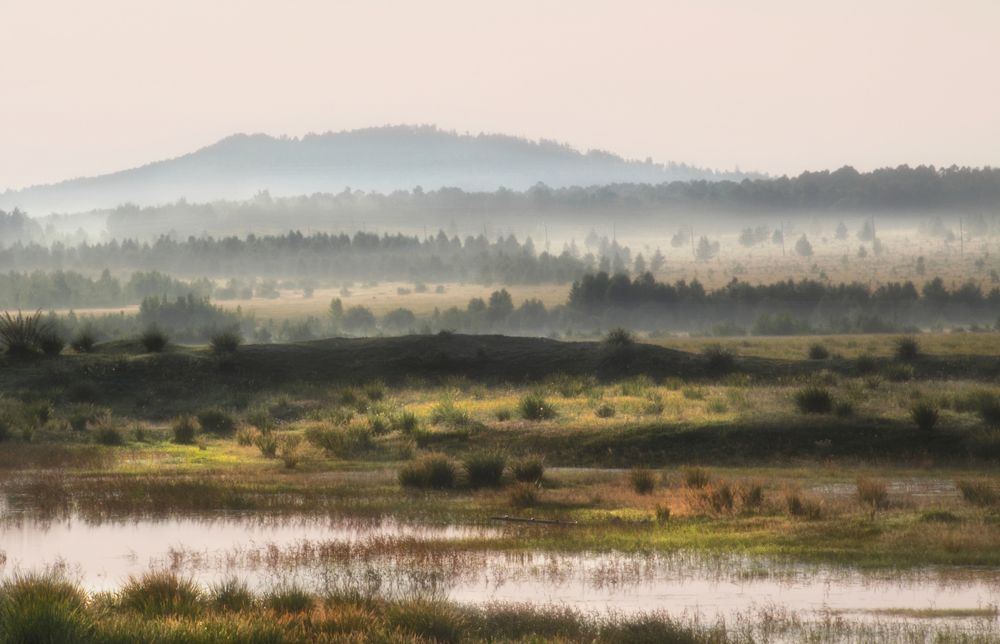 Photograph by Natalia