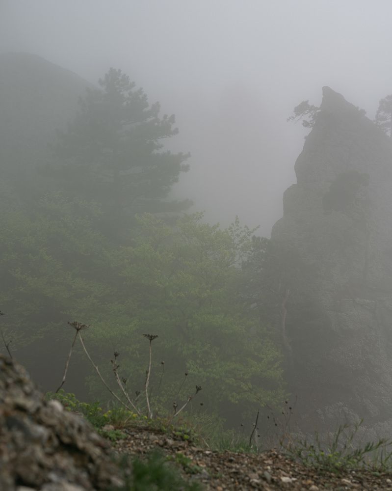 Photograph by Ангелина Якимова