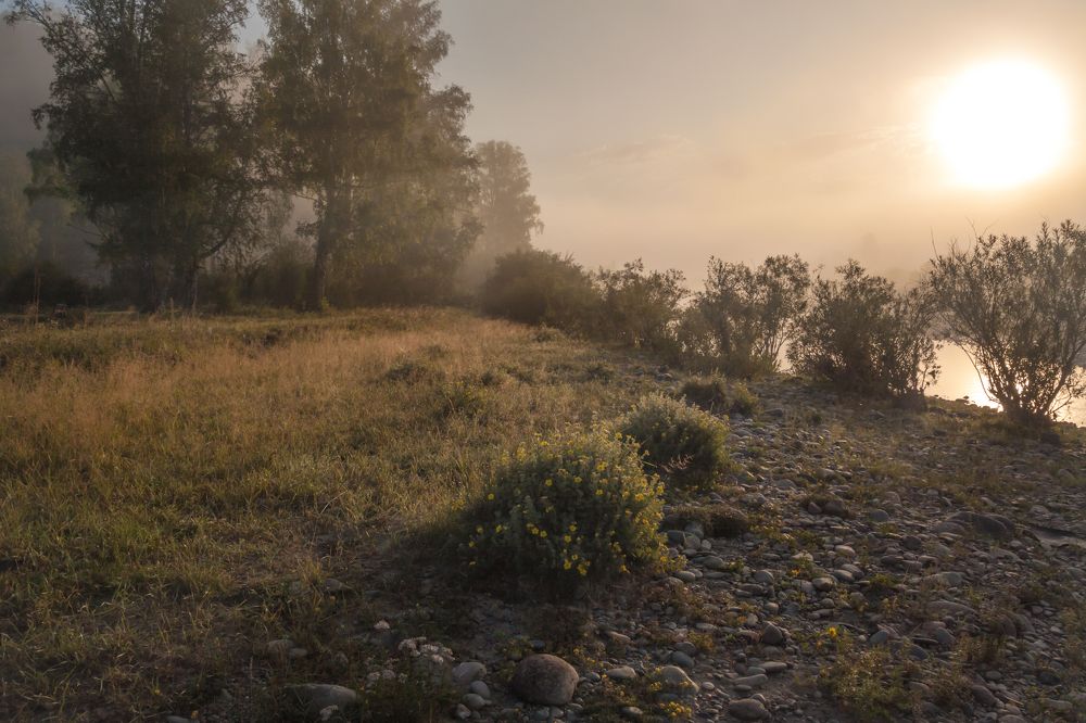 Photograph by Natalia