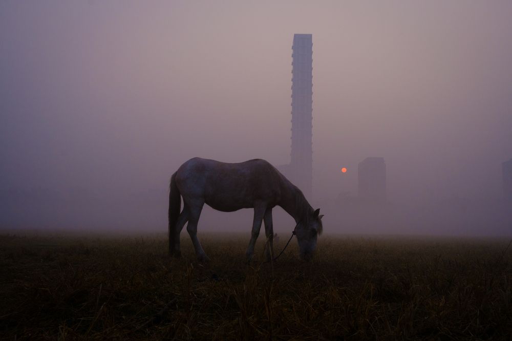 Фотография автора Ritwik Ray