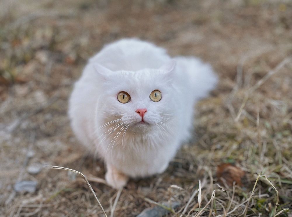 Photograph by Лада Сартакова