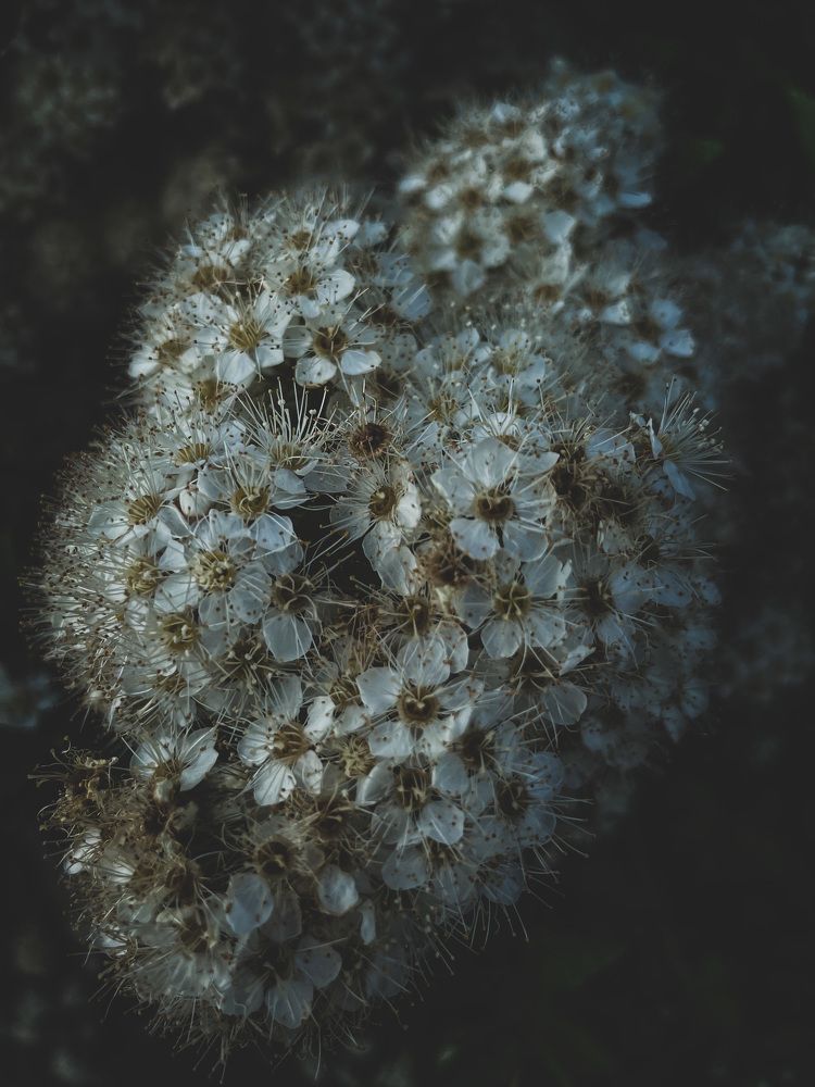 Photograph by Лада Сартакова