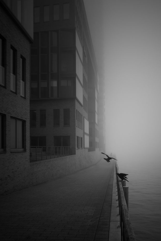 Photograph by Sven Svensøn