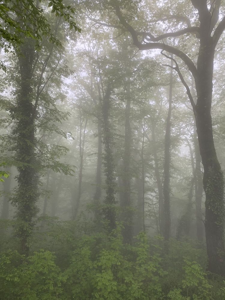 Photograph by Илья Панкратов