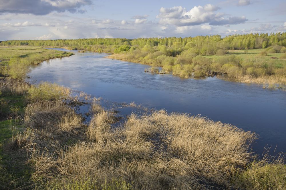Photograph by Сергей Старостин