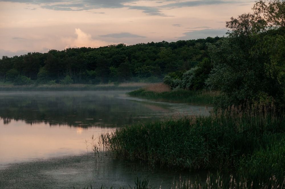 Фотография автора Олег Старосельцев