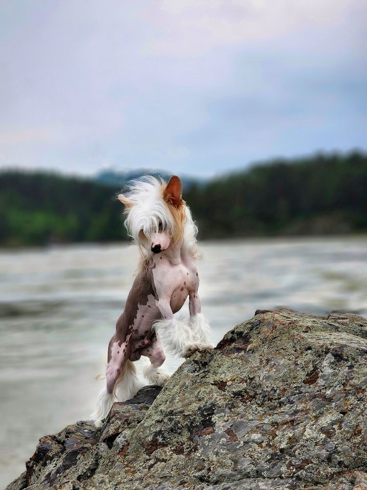 Photograph by Марина