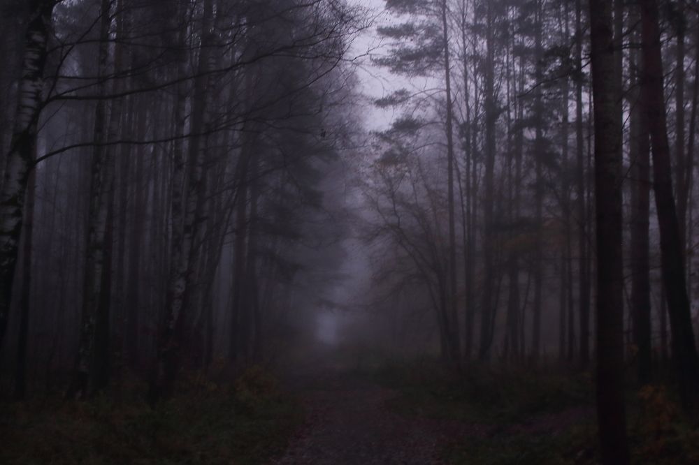 Фотография автора Михаил Кротков