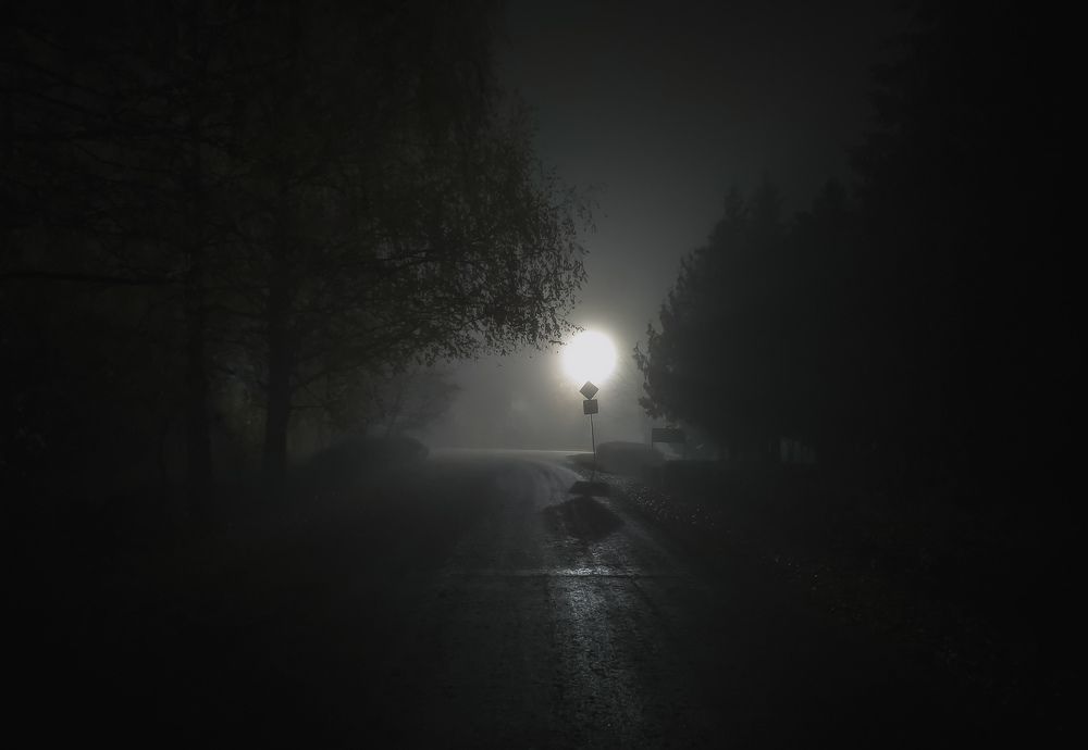 Photograph by Владимир Фролов