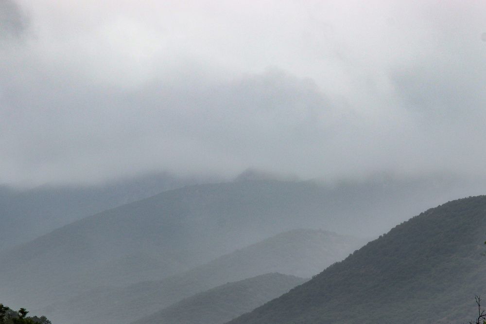 Photograph by Алексей Голубев