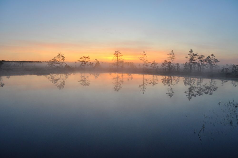 Photograph by Дмитрий Шарый