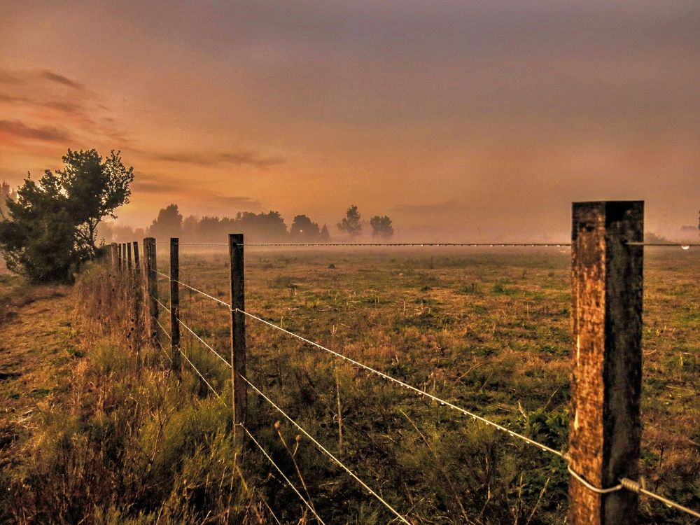 Photograph by Viviana García