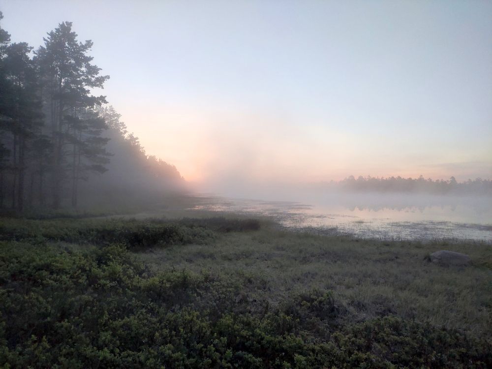 Photograph by Дмитрий Шарый