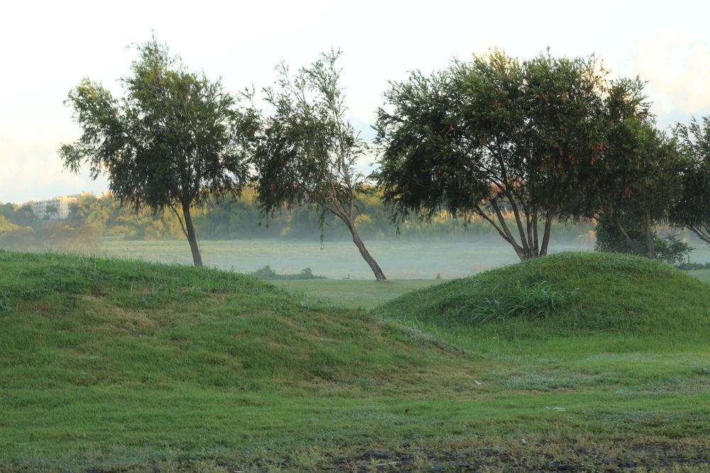 Фотография автора Jose Otero