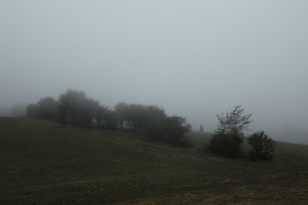 Photograph by Morteza Beiglou