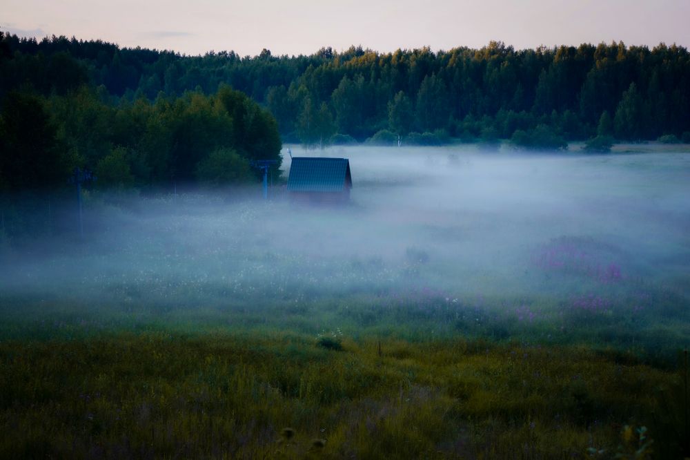 Photograph by 
