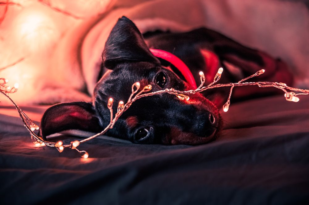 Photograph by Damir Sadekov