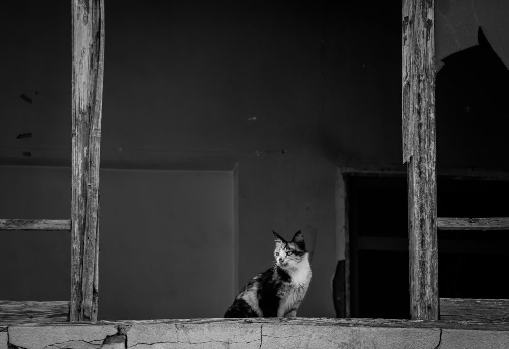 Photograph by Behnam Lohrasebi