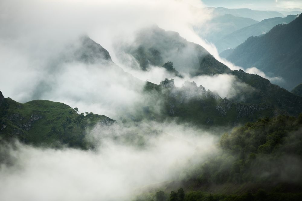 Photograph by Ольга Гаврилова