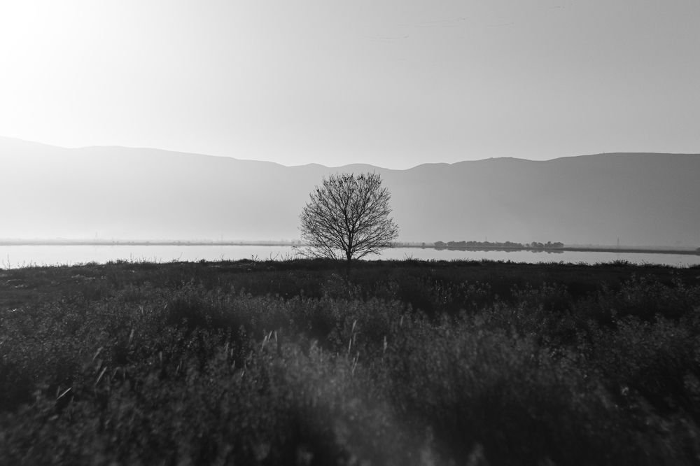 Photograph by Behnam Lohrasebi