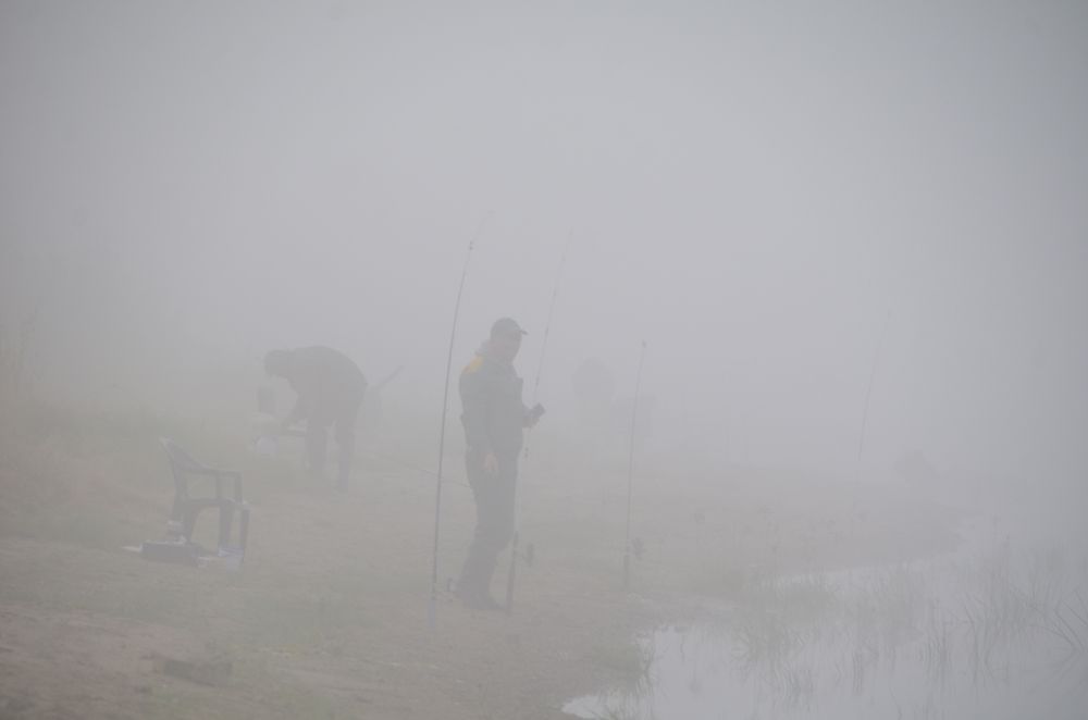 Photograph by Александр Карпенко