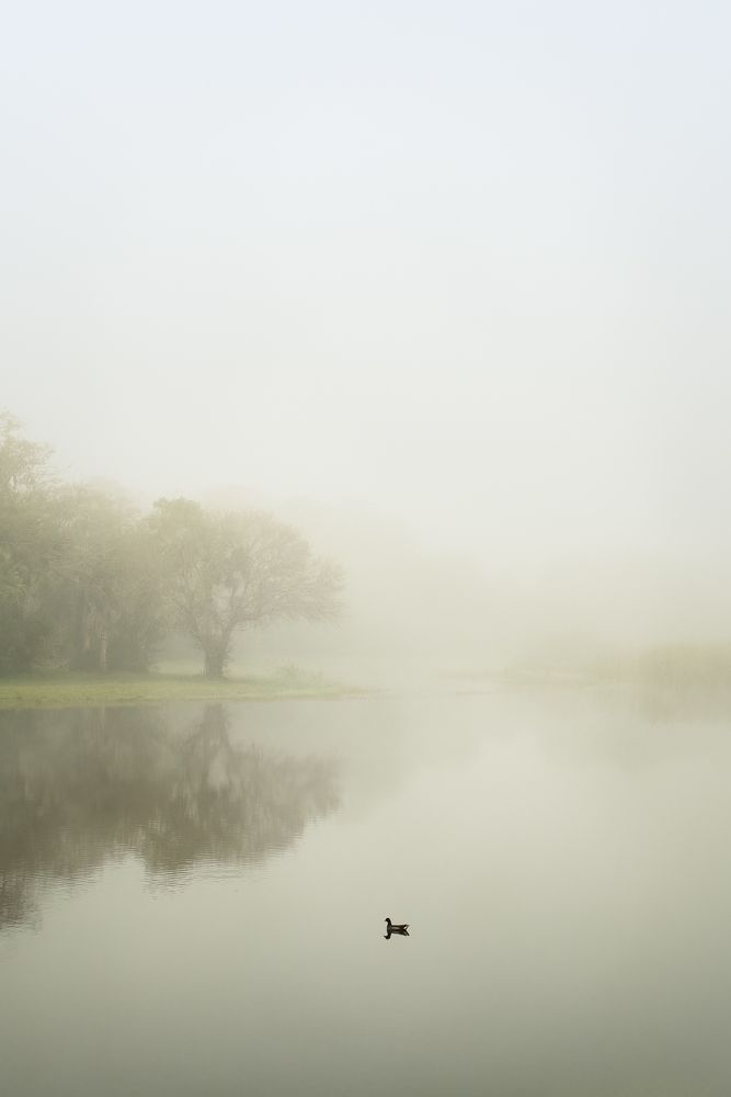 Photograph by Hilda Champion