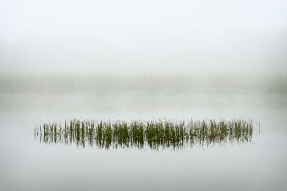 Photograph by Hilda Champion