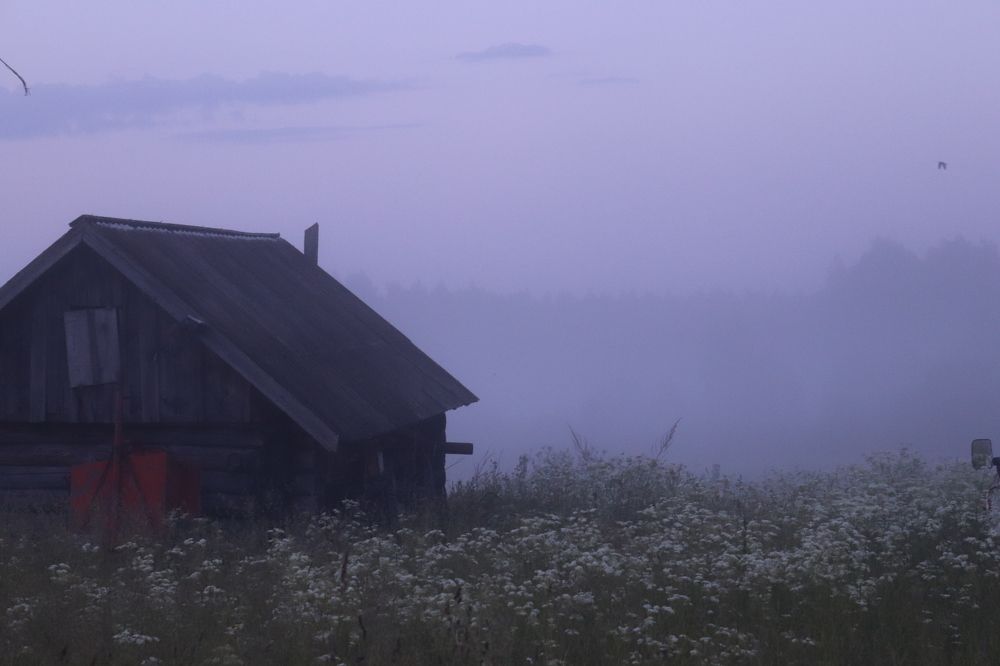 Photograph by Milena Paile