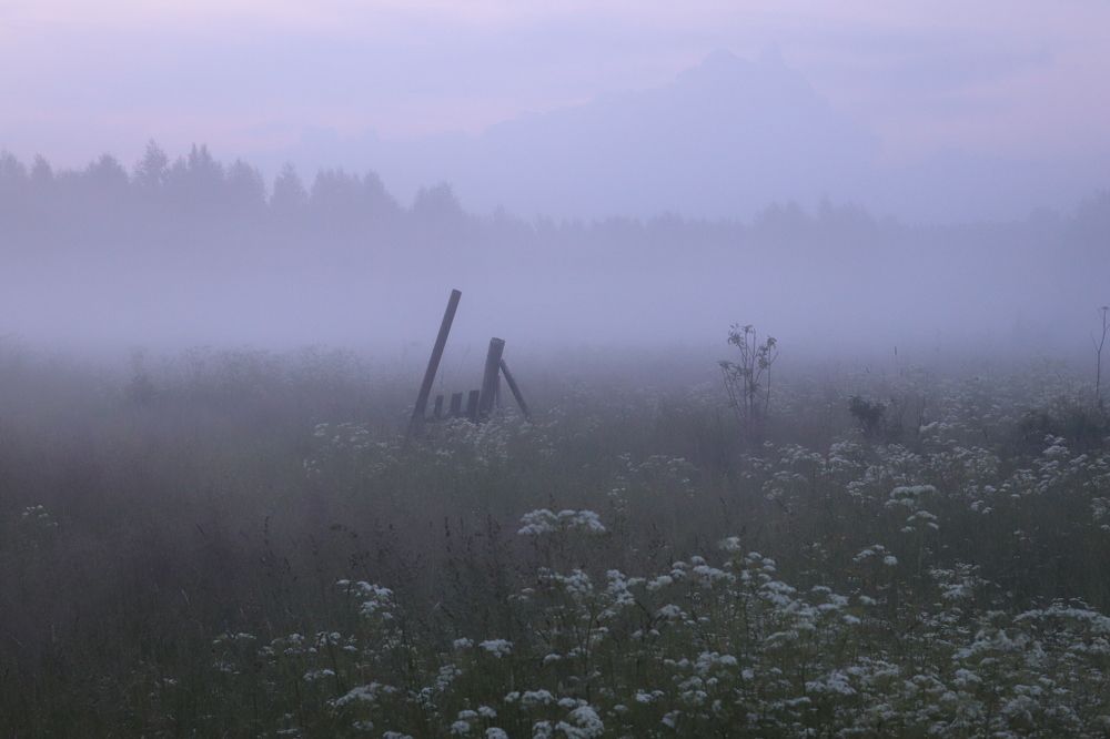 Photograph by Milena Paile