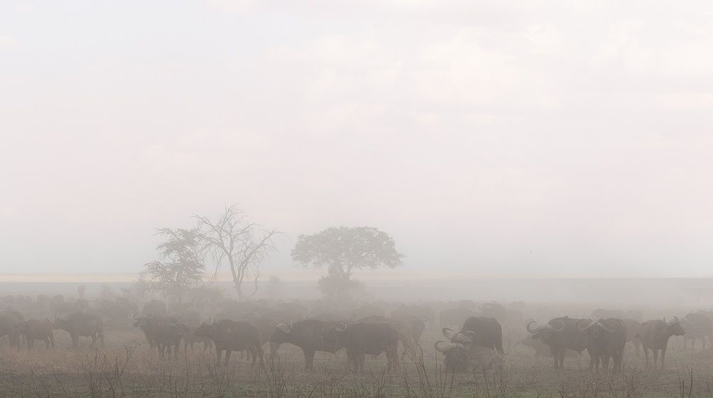 Фотография автора Anne Gabrielle Mougin