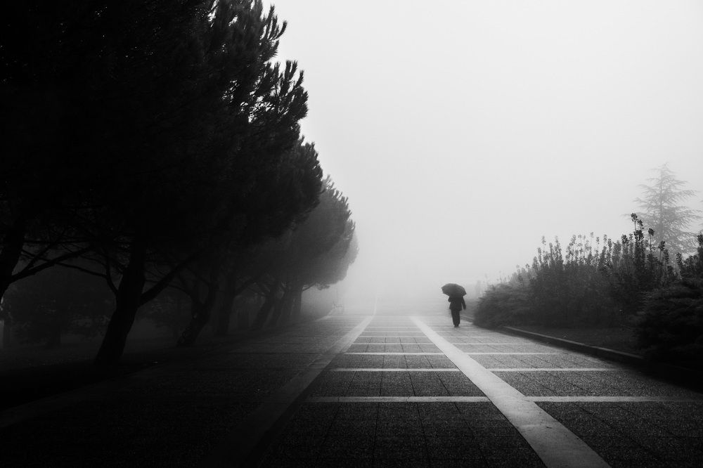 Photograph by Goran Grudic